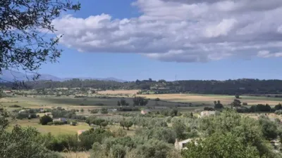 Rustic house in Sineu photo 15