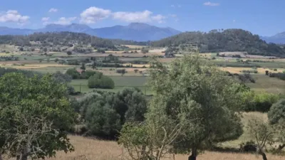 Rustic house in Sineu photo 16