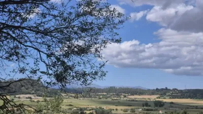 Rustic house in Sineu photo 17