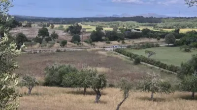 Rustic house in Sineu photo 19
