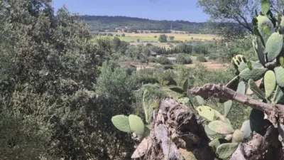 Rustic house in Sineu photo 20