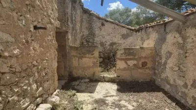Rustic house in Sineu photo 38