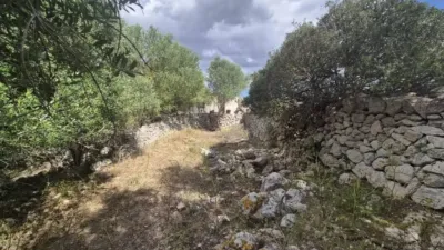 Rustic house in Sineu photo 47