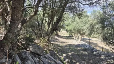 Rustic house in Sineu photo 48