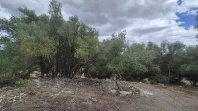 Rustic house in Sineu photo 49