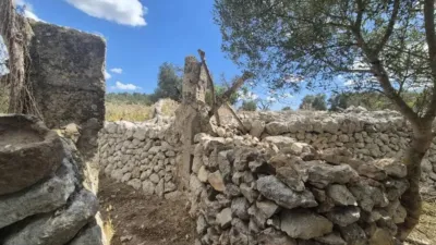 Rustic house in Sineu photo 50
