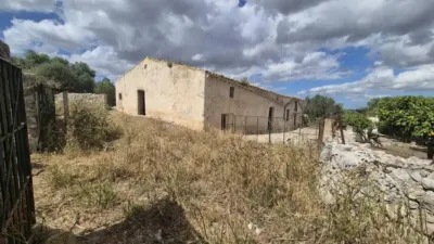 Rustic house in Sineu photo 6