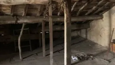 Apartment in Canido photo 31