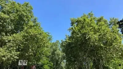Piso en alquiler en Sol - Imagen 17
