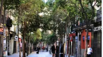 Piso en alquiler en Trafalgar - Imagen 13