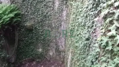 House in Atrio (Leiro) photo 20