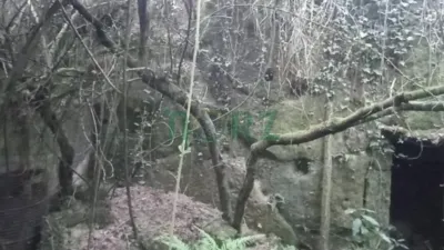 House in Atrio (Leiro) photo 27
