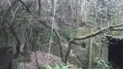 House in Atrio (Leiro) photo 5