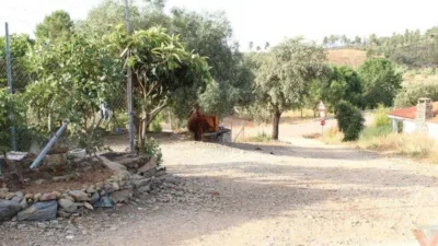 Rustic house in Valverde del Fresno photo 15