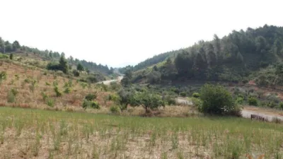 Rustic house in Valverde del Fresno photo 18
