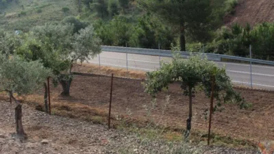 Rustic house in Valverde del Fresno photo 19