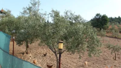 Rustic house in Valverde del Fresno photo 20