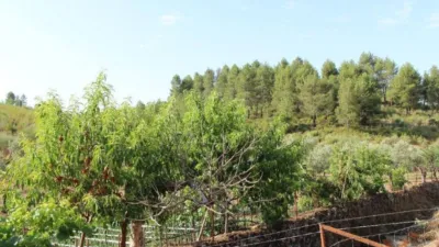 Rustic house in Valverde del Fresno photo 24