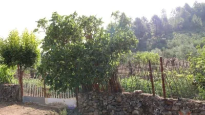 Rustic house in Valverde del Fresno photo 26