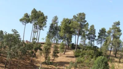 Rustic house in Valverde del Fresno photo 29