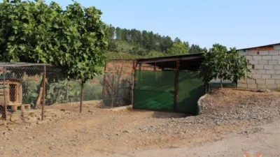 Rustic house in Valverde del Fresno photo 3