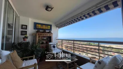 Pis – Alicante - Alacant - Vista 5