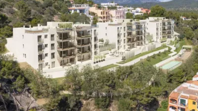 Apartment in Costa de la Calma photo 26