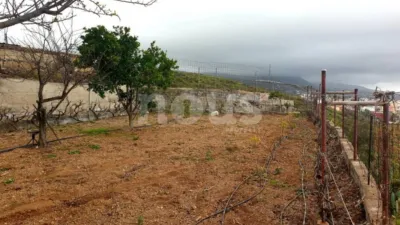 Rustic house in Guía de Isora photo 20