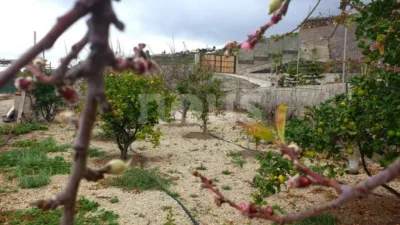 Rustic house in Guía de Isora photo 23