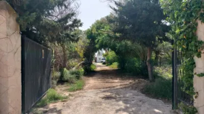 Casa – Elx - Elche - Vista 4