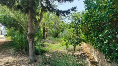 Casa – Elx - Elche - Vista 5