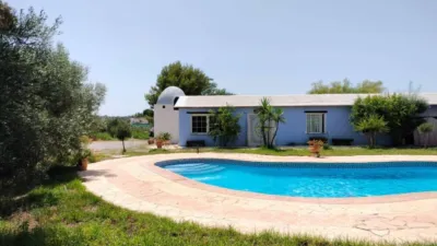 Casa – Elx - Elche - Más