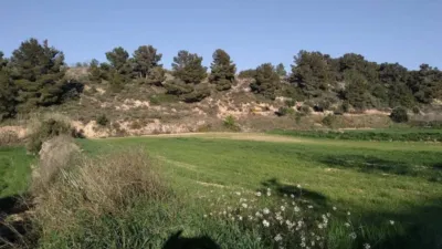 Rustic farm in Rambla de la Democràcia photo 4
