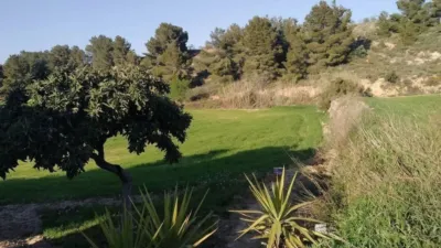 Rustic farm in Rambla de la Democràcia photo 5