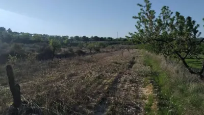Rustic farm in Rambla de la Democràcia photo 7