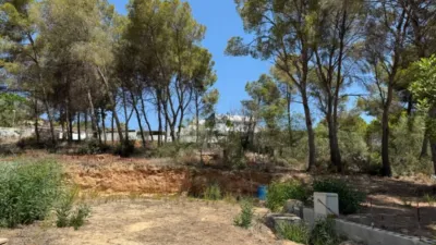 Terreno en venta en Pinar del Abogat-Cometa - Vista 4