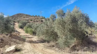 Rustic farm in Carrer de Berrús photo 5