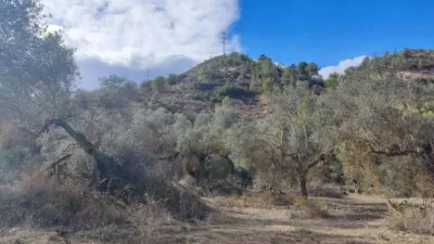 Rustic farm in Carrer de Berrús photo 8