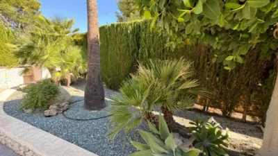 Chalet in Cala Advocat-Baladrar photo 30