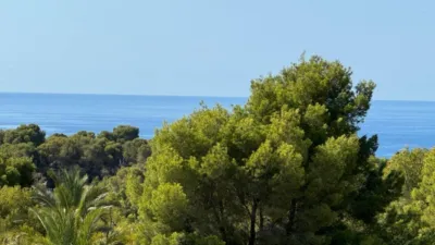 Chalet in Cala Advocat-Baladrar photo 43