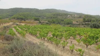 Finca rústica en Horta de Sant Joan photo 4
