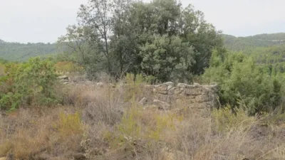 Finca rústica en Horta de Sant Joan photo 5