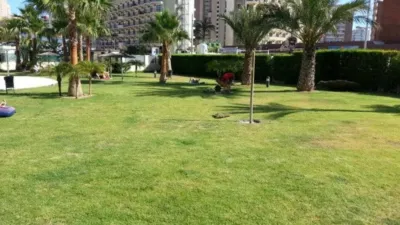 Apartment for sale or long-term rent on Avenida del Derramador photo 18