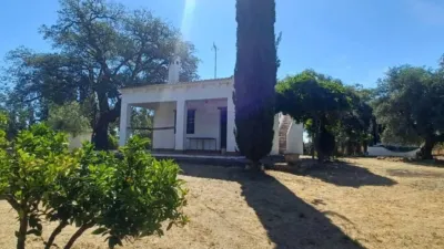 House for sale in Castilblanco de los Arroyos photo 22