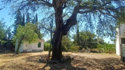 House for sale in Castilblanco de los Arroyos photo 34