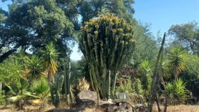 House for sale in Castilblanco de los Arroyos photo 36