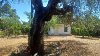 House for sale in Castilblanco de los Arroyos photo 44