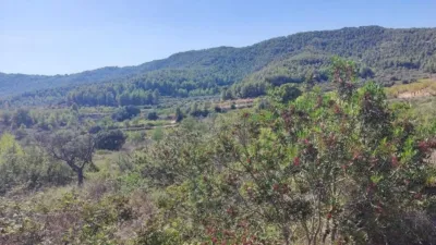 Rustic finca on Ctra S/N photo 10