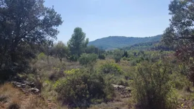 Rustic finca on Ctra S/N photo 11