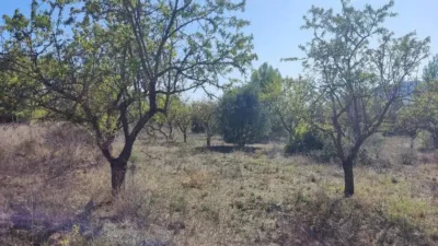 Rustic finca on Ctra S/N photo 5